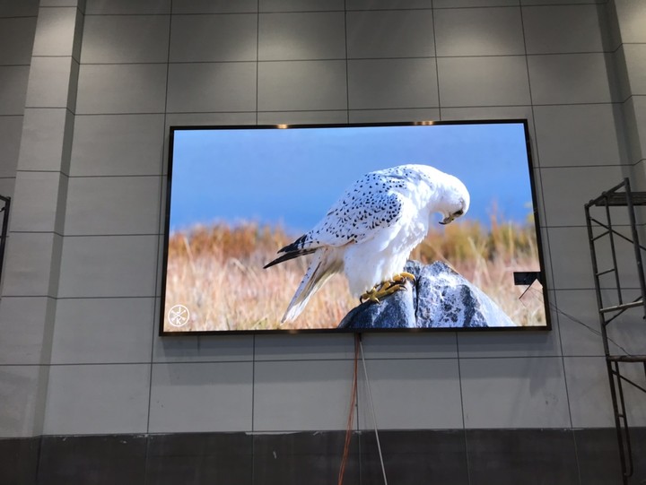 英山茶仙，P2.5,11.46平方